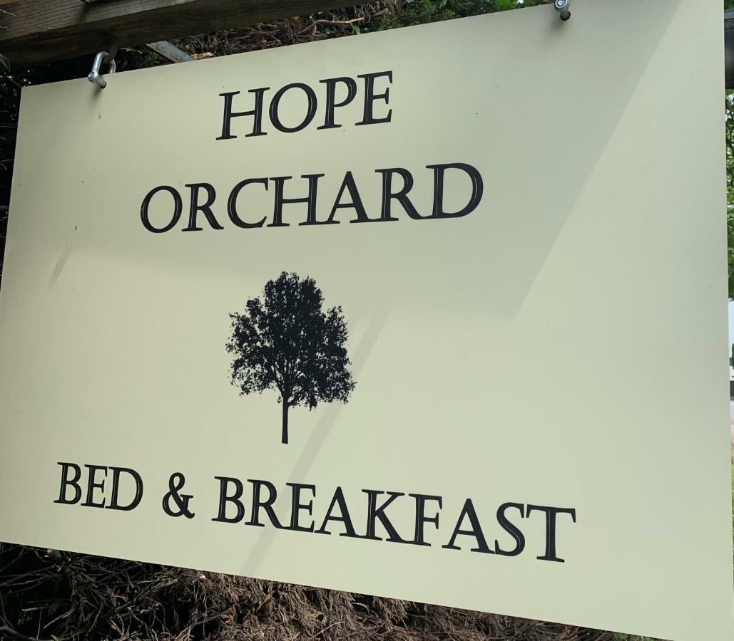 Hope Orchard Bed & Breakfast Cheltenham Ngoại thất bức ảnh