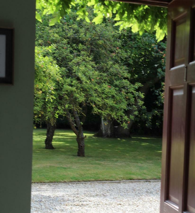 Hope Orchard Bed & Breakfast Cheltenham Ngoại thất bức ảnh