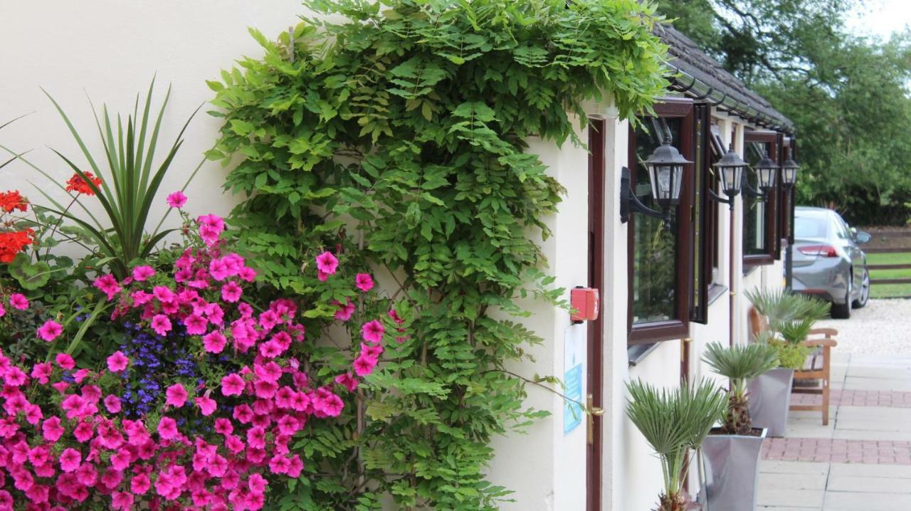 Hope Orchard Bed & Breakfast Cheltenham Ngoại thất bức ảnh